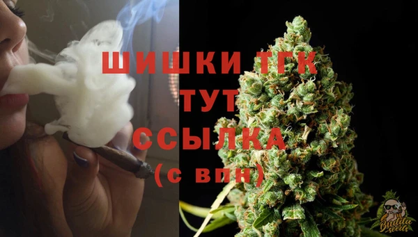 гашик Вязники